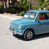 Montevago 2010 (255)